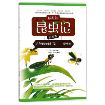 ���������x(ch��ng)ӛ���L������ҹ���С���\����Ξ���x(ch��ng)