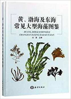 �S���������|����Ҋ���ͺ���D�b