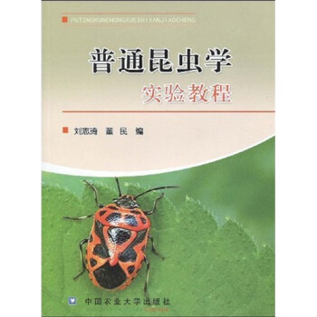 ��ͨ���x�W���̳�