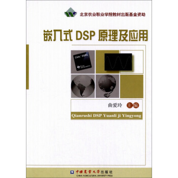 Ƕ��ʽDSPԭ������(y��ng)��