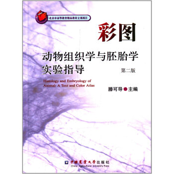 �ʈD����M���W�c��̥�W���ָ������2�棩