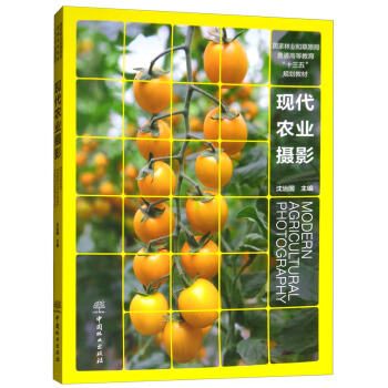 �F(xi��n)���r(n��ng)�I(y��)�zӰ/��(gu��)���֘I(y��)�Ͳ�ԭ����ͨ�ߵȽ�����ʮ���塱Ҏ(gu��)���̲�