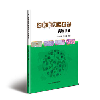 ����M����̥�W���ָ��