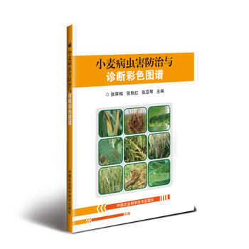 С�����x�������c�\���ɫ�D�V