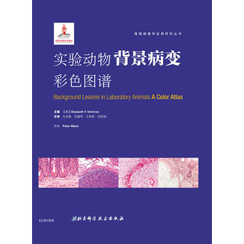 ��(sh��)�(y��n)��(d��ng)�ﱳ����׃��ɫ�D�V