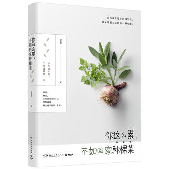 ���@ô��������ؼҷN�ò�