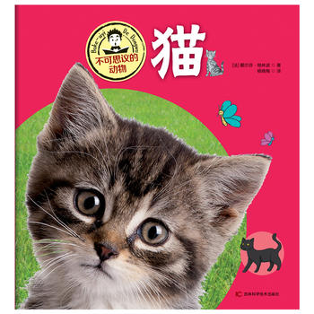 ����˼�h�Ą���؈