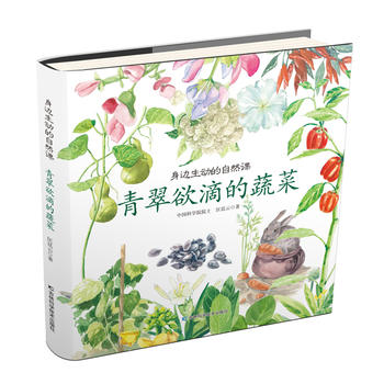 ��߅����(d��ng)����Ȼ�n- ������ε��߲�