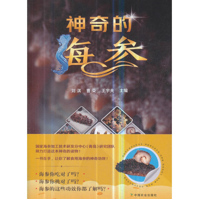 ����ĺ���