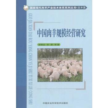 �Ї�����Ҏ(gu��)ģ��(j��ng)�I�о�