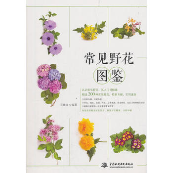 ��ҊҰ���D�b