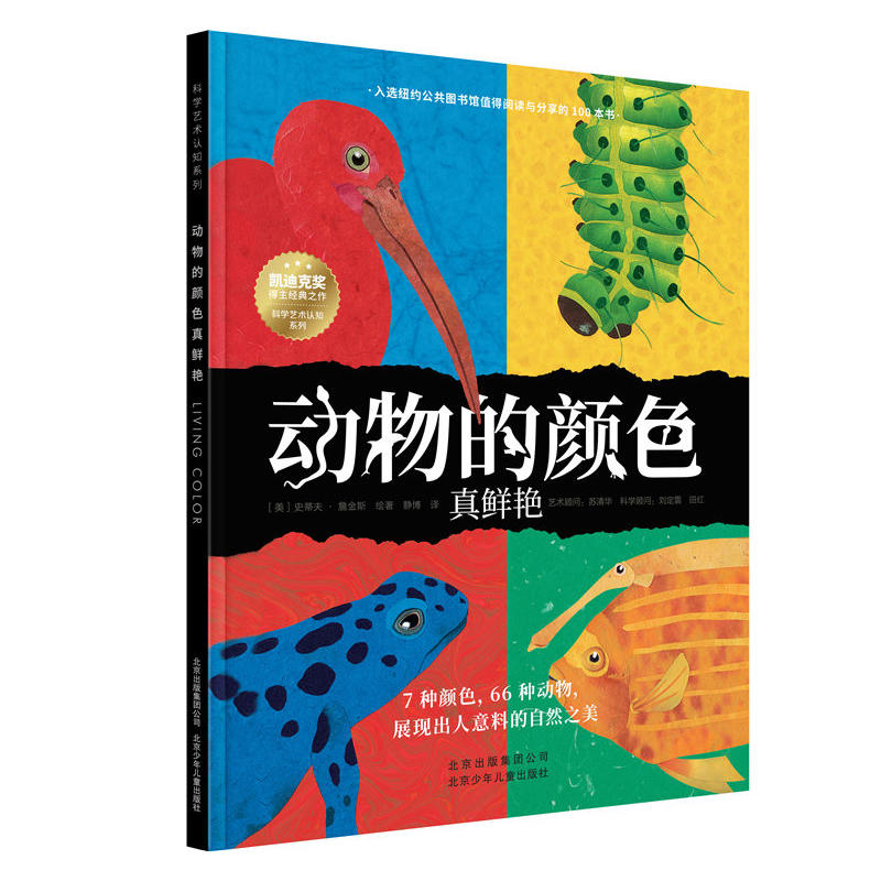 �ƌW(xu��)ˇ�g(sh��)�J(r��n)֪ϵ�� ��(d��ng)����ɫ���r�G