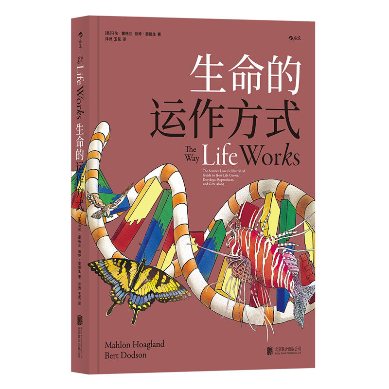 �������\����ʽ