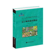 �|����ľ�����D־(����Ⱦ�Բ���)