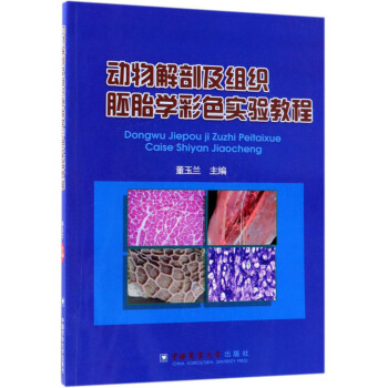 ������ʼ��M����̥�W��ɫ���̳�