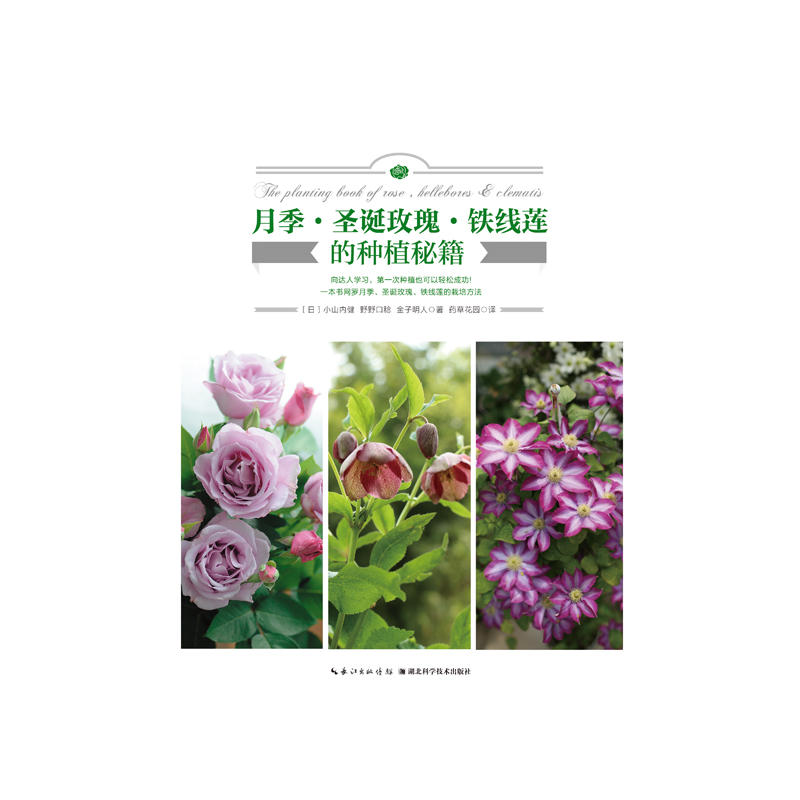 �¼���ʥ�Qõ�壿�F��ɏ�ķNֲ�ؼ�