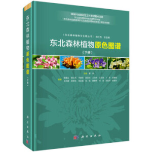 �|��ɭ��ֲ��ԭɫ�D�V��ȫ���ԣ�