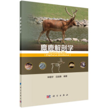 ��¹���ʌW