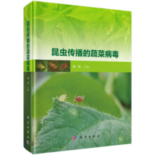 ���x�������߲˲���