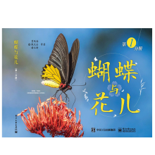 �����c��������1�փ�(c��)��