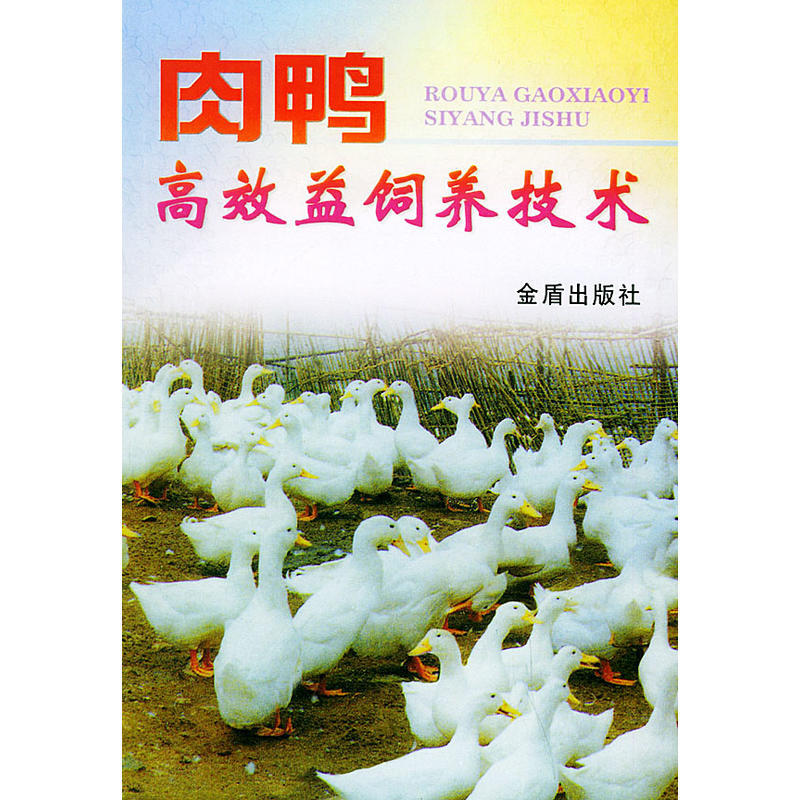 ������Ч����B(y��ng)���g(sh��)