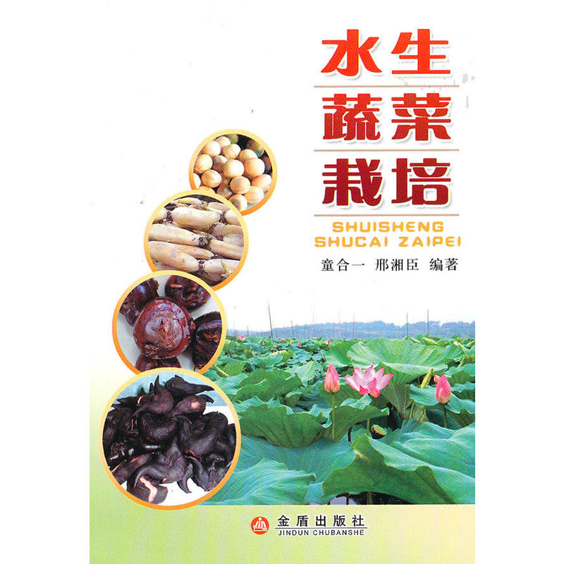 ˮ���߲�����