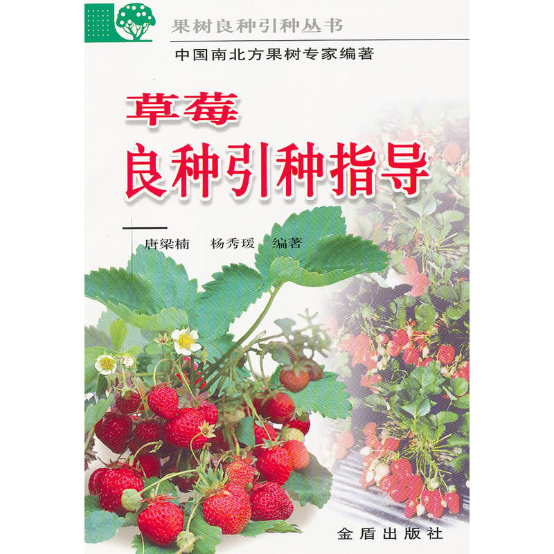 ��ݮ���N���Nָ��(d��o)