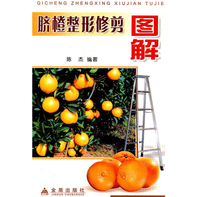 Ě�������޼�D��