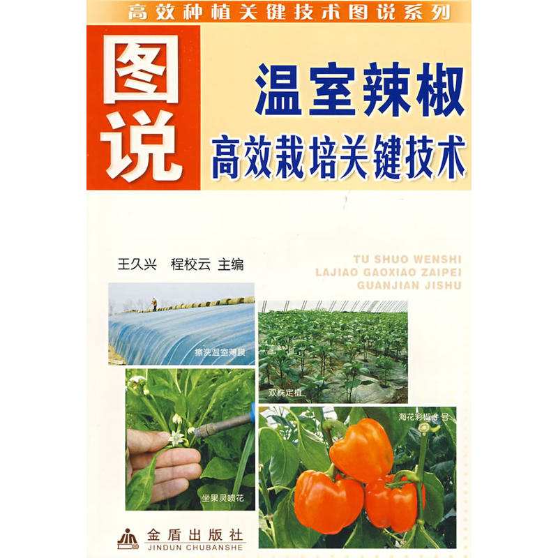 �D�f����������Ч�����P�I���g