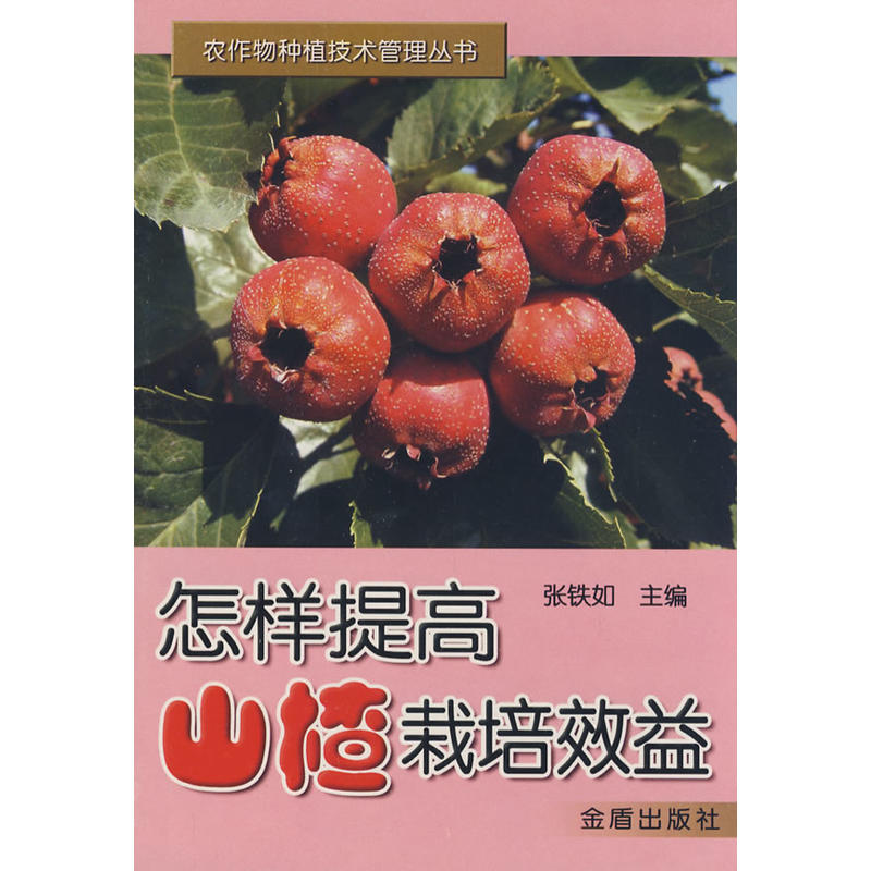 �������ɽ�����Ч��