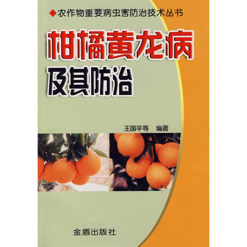 �����S�����������