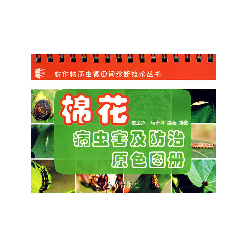 �޻����x(ch��ng)��������ԭɫ�D��(c��)