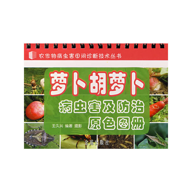 �}�����}�����x��������ԭɫ�D��