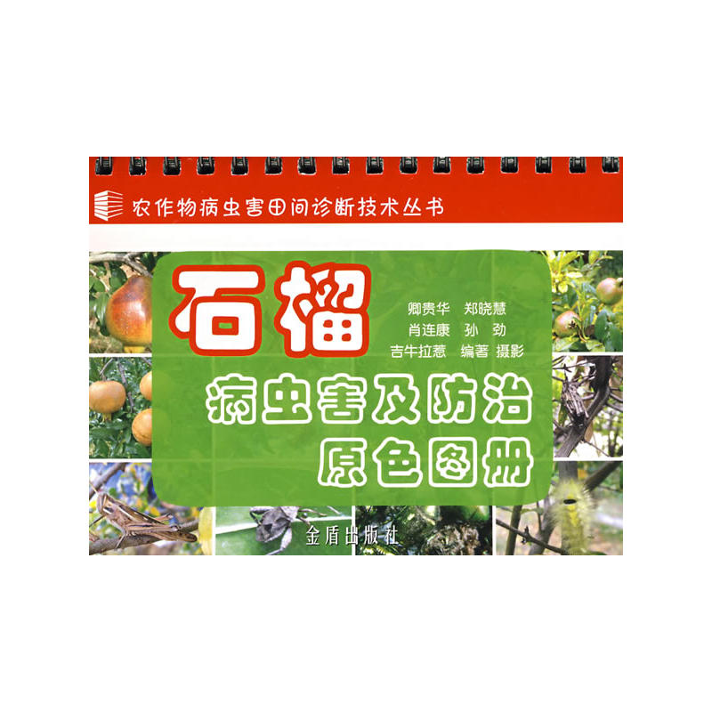 ʯ���x(ch��ng)��������ԭɫ�D��(c��)