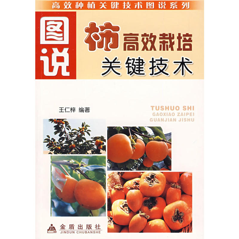 �D�f����Ч�����P(gu��n)�I���g(sh��)