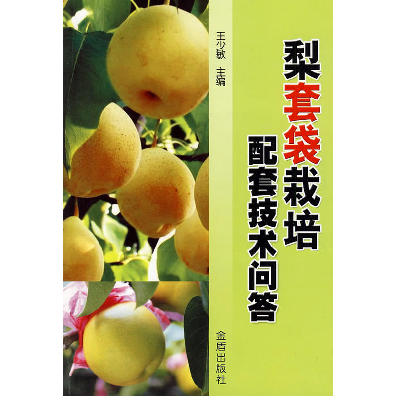 ���״��������׼��g(sh��)��(w��n)��