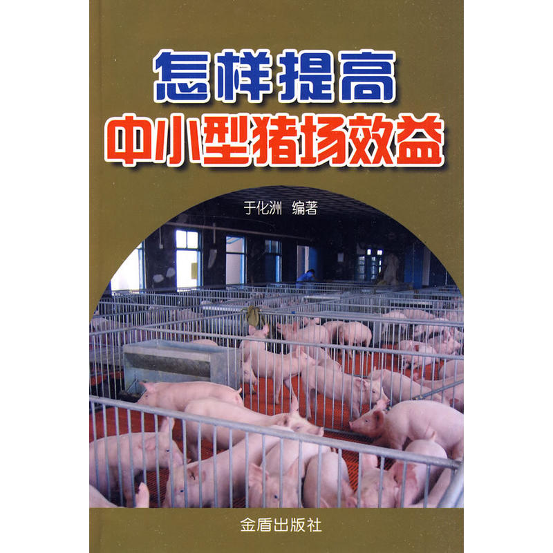 ���������С���i��Ч��