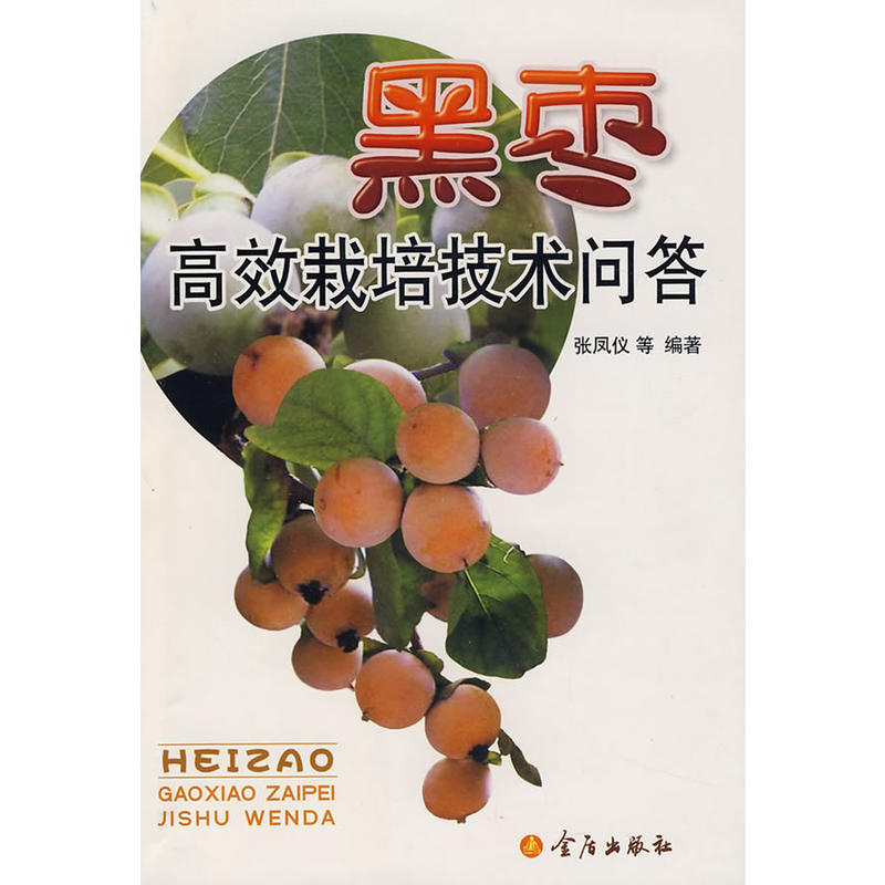 �ڗ���Ч���༼�g(sh��)����