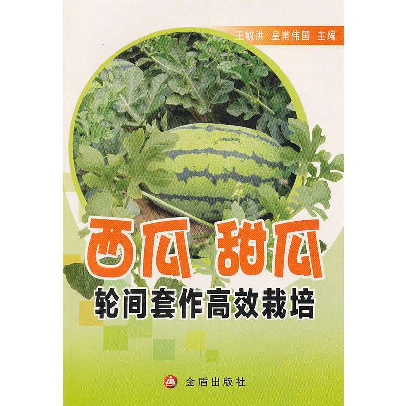 �������݆�g������Ч����