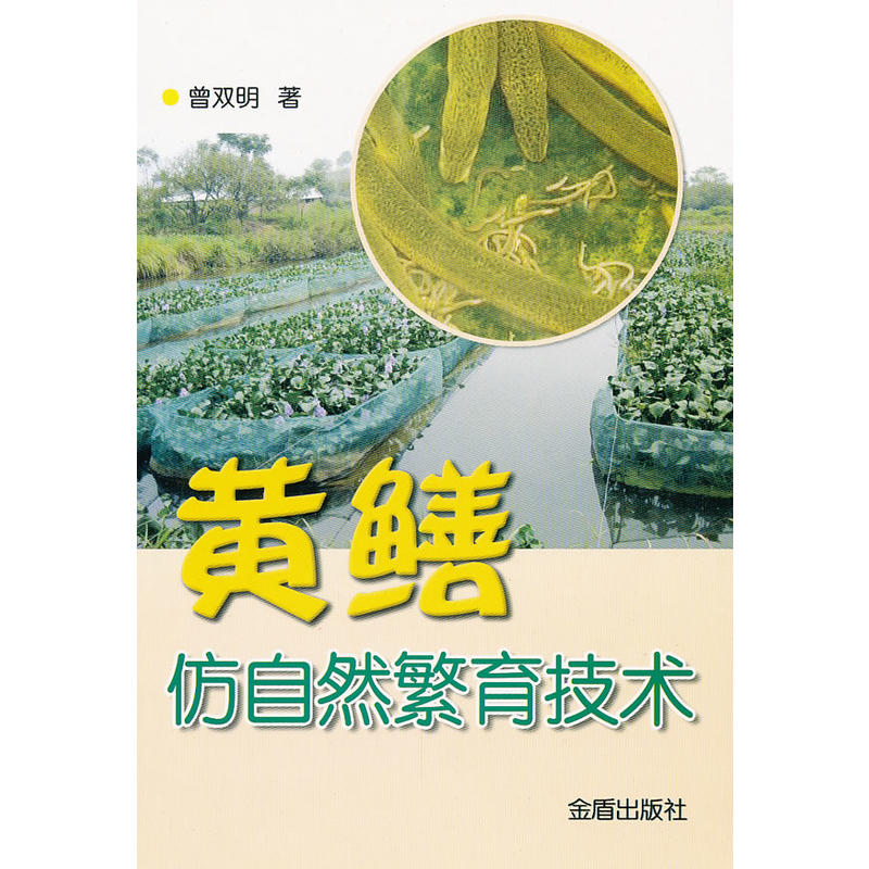 �S�X����Ȼ�������g