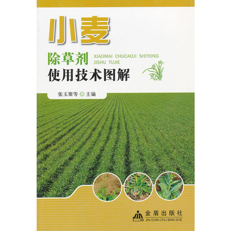 С�����݄�ʹ�ü��g(sh��)�D��