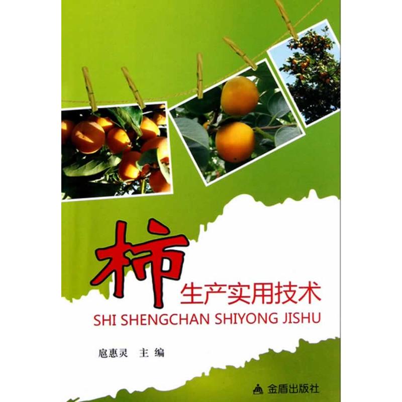 �����a���ü��g