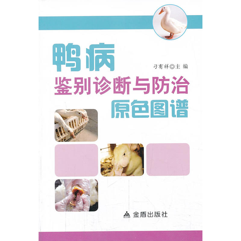 �����b�e�\���c����ԭɫ�D�V