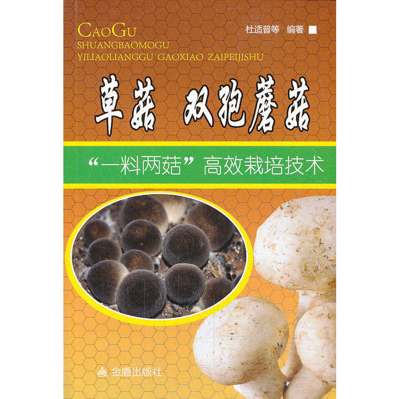 �ݹ�-�p��Ģ����һ�σɹ�����Ч���༼�g