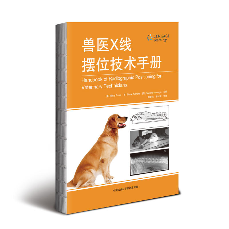 �F�t(y��)X���[λ���g(sh��)�փ�