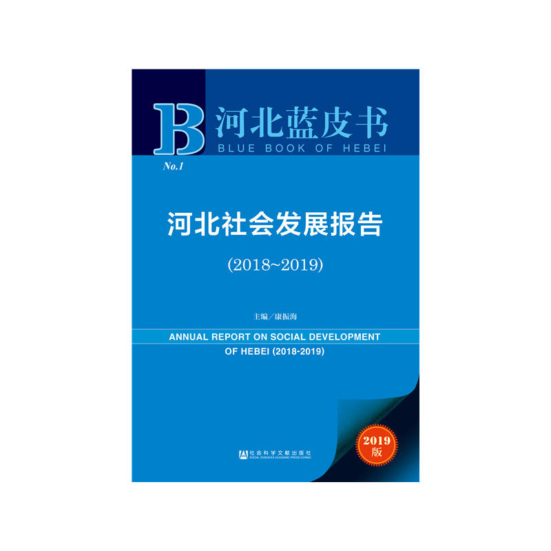 �ӱ��{Ƥ�����ӱ�����l(f��)չ��棨2018~2019��