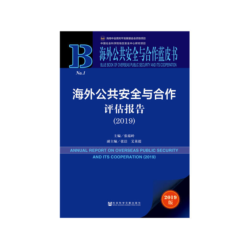 ���⹫����ȫ�c�����{(l��n)Ƥ�������⹫����ȫ�c�����u(p��ng)����(b��o)�棨2019��