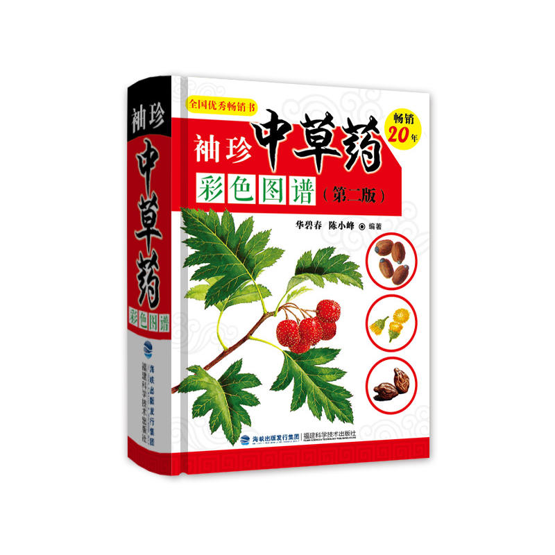 �����в�ˎ��ɫ�D�V���ڶ��棩