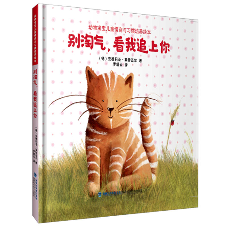 �e�Ԛ�������׷���㣨�������ͯ�����c��(x��)�T���B(y��ng)�L��)