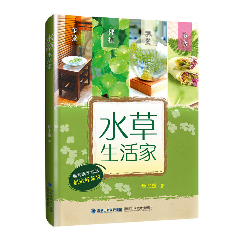 ˮ�������